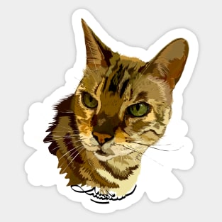 Beautiful Bengal Sticker